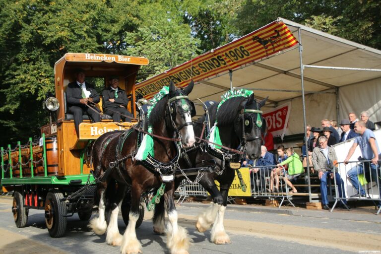 harddraverij_2018_13