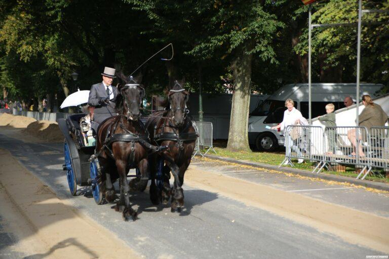 harddraverij_2018_16