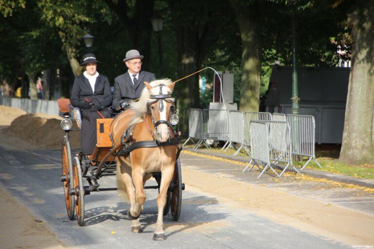 harddraverij_2018_24