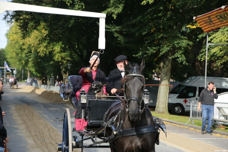 harddraverij_2018_35