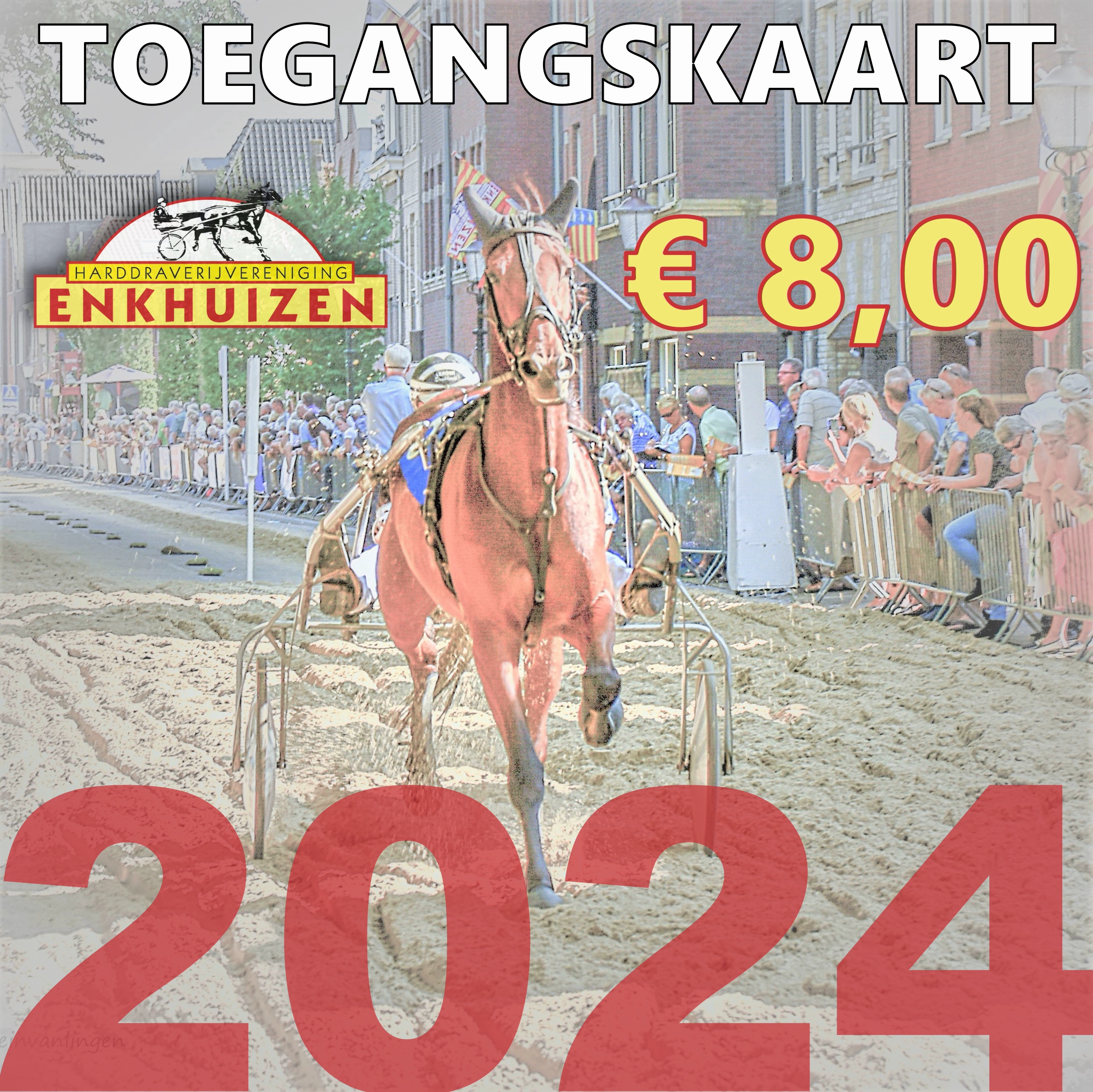 Toegangskaart 2024 Volwassen