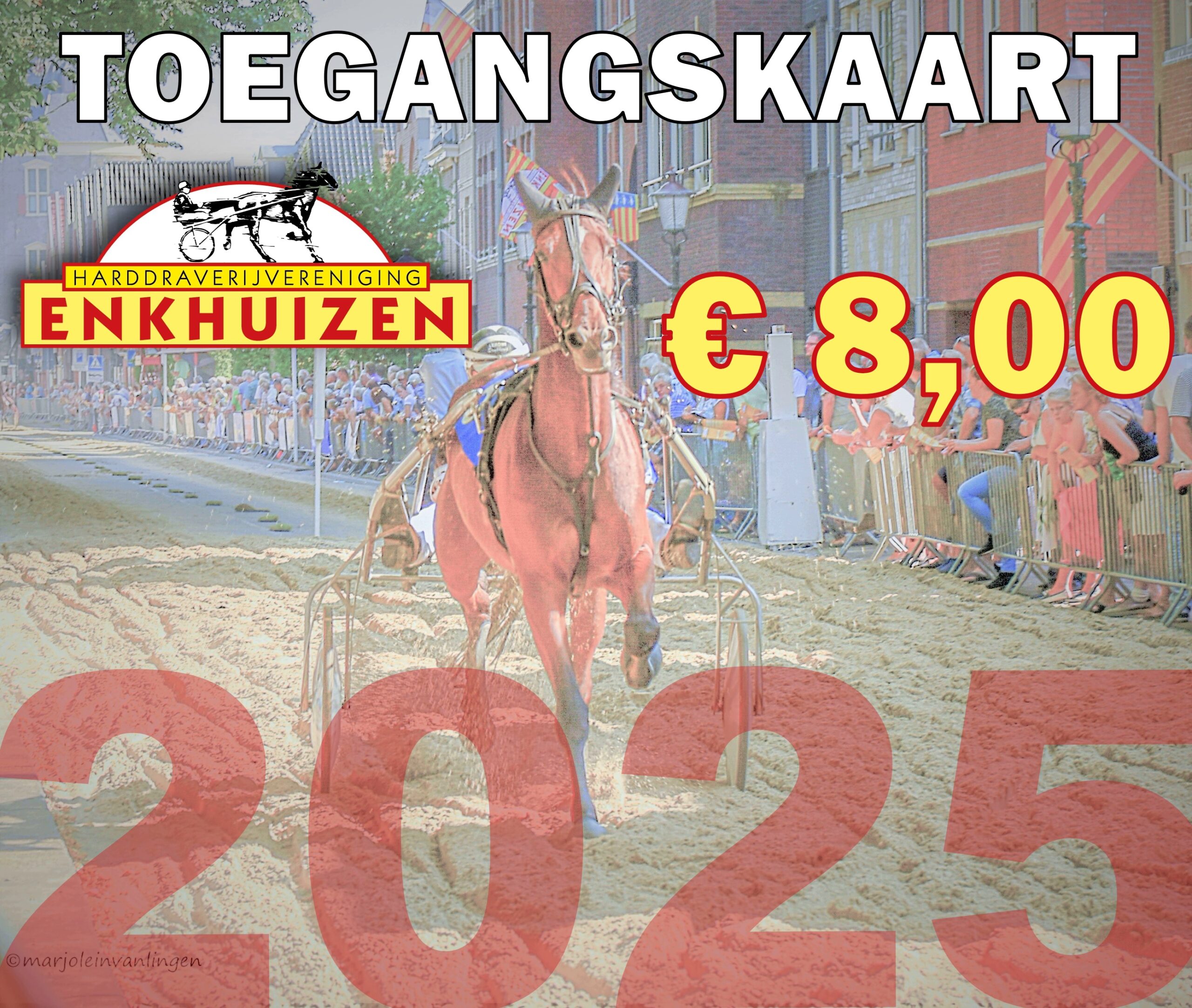 Toegangskaart 2025 Volwassen