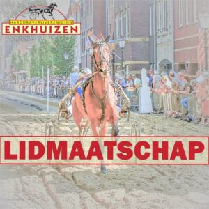 Lidmaatschap (Lid + Introducé)