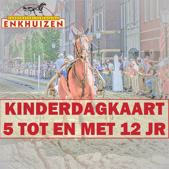 Toegangskaart 5 t/m 12 jaar