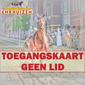 Toegangskaart vanaf 13 jaar