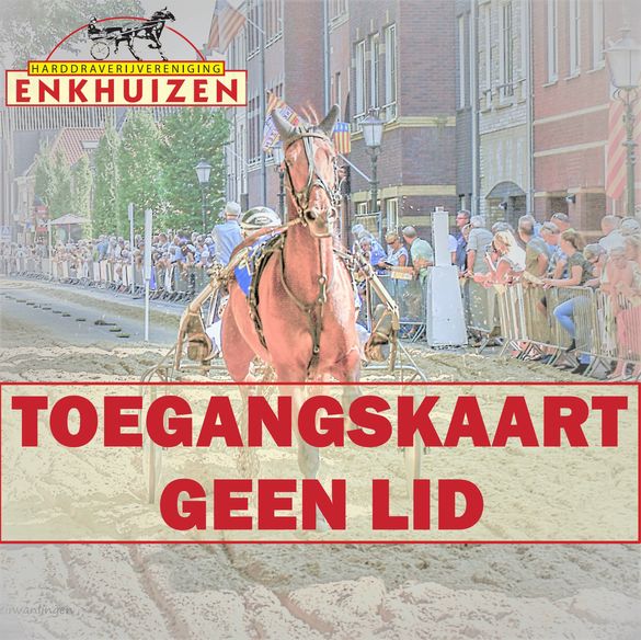 Toegangskaart vanaf 13 jaar