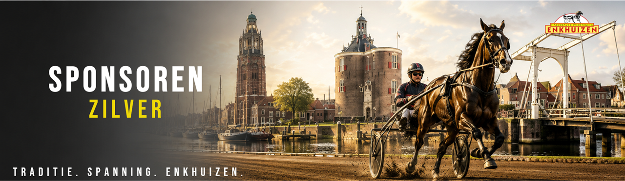 Zilveren Sponsors